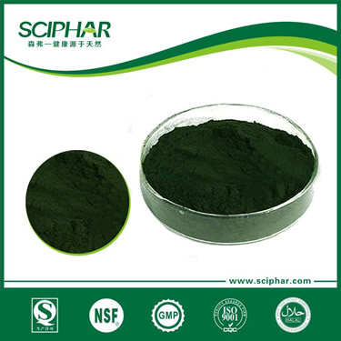 Spirulina powder