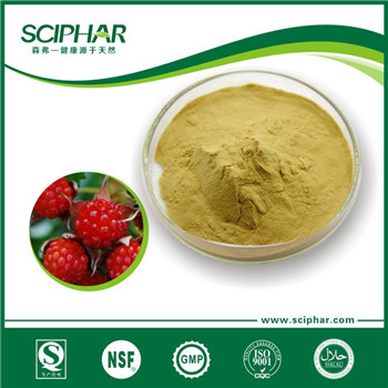 bilberry extract