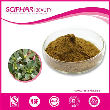 Purslane Extract 