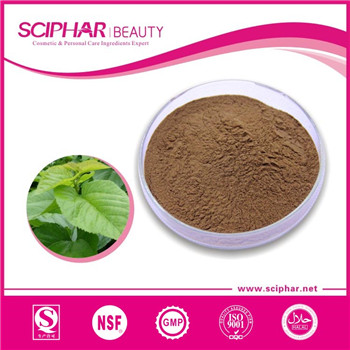 Mulberry Leaf Extract