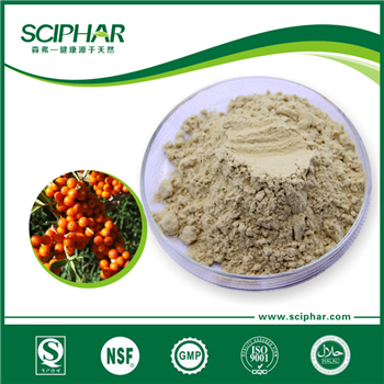 Sea Buckthorn Powder