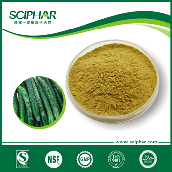 Cucumbe powder