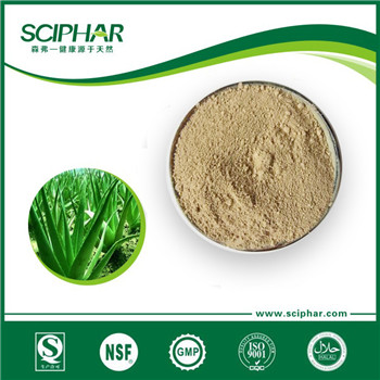 Aloe vera powder