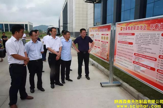 商洛市"七五”普法督察组调研森弗公司依法治企工作情况