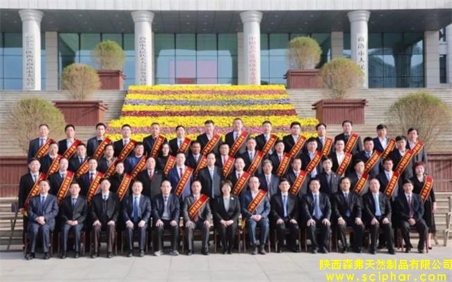 陕西森弗被评为“商洛市优秀民营企业”，董事长金新康荣获“商洛市优秀民营企业家”称号
