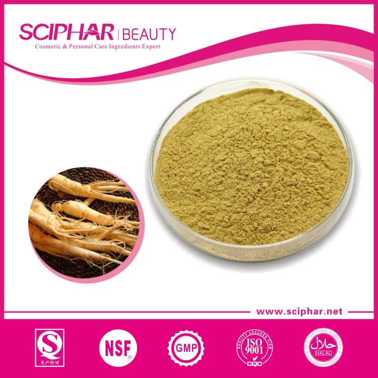 Panax ginseng extract