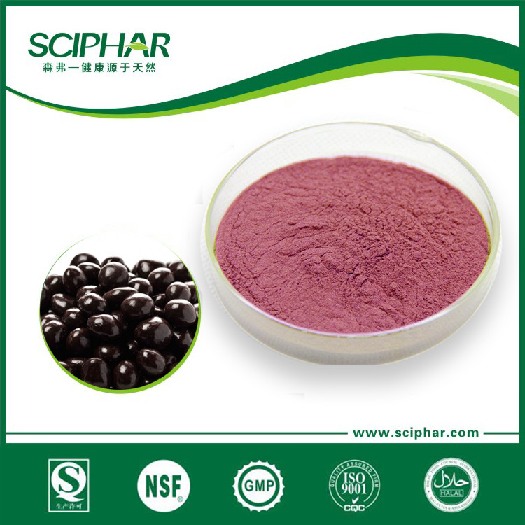 Acai powder