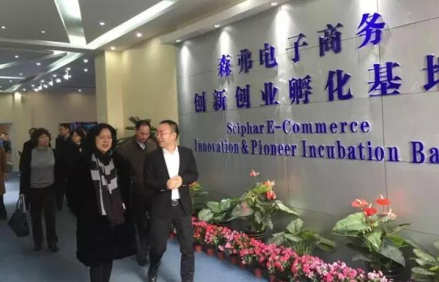 Director of E-Commerce and Informatization Department of Ministry of Commerce, made a study on the development of E-commerce in Shaanxi Sciphar